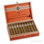 Avo XO Intermezzo--Box of 20