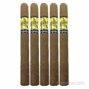 ACID Yellow Holistics Cold Infusion Tea 5-Cigar Fresh Pack