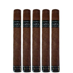 JAVA MINT ROBUSTO